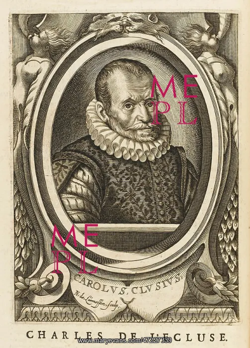 : CHARLES DE L'ECLUSE : CHARLES DE L'ECLUSE