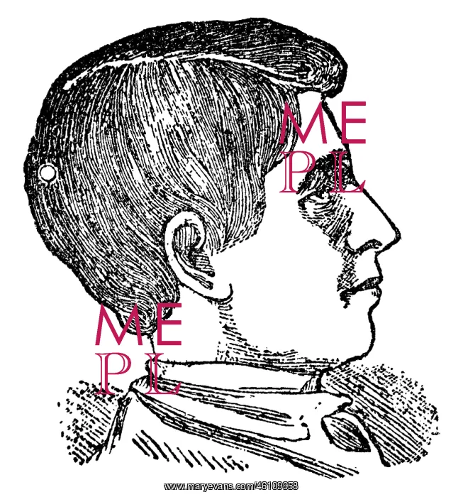 : Charles Light-Hearted, phrenological portrait, 1902 : Charles Light-Hearted, phrenological portrait, 1902