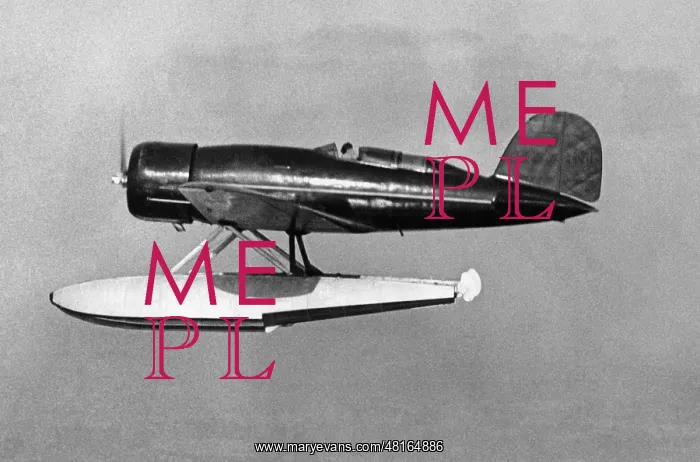 : Charles Lindbergh : Charles Lindbergh