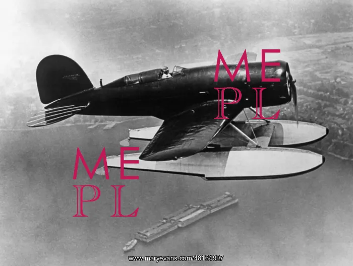 : Charles Lindbergh : Charles Lindbergh
