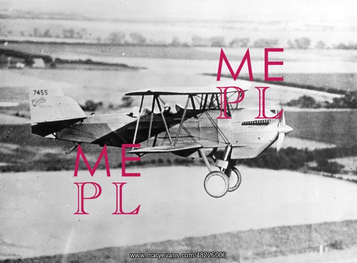 : Charles Lindbergh and his bride in a plane : Charles Lindbergh and his bride in a plane