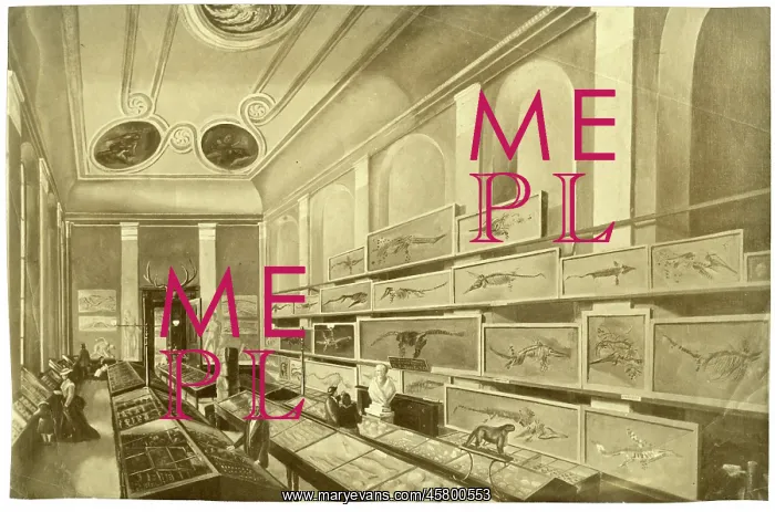  : Charles Moore's Free Museum in Bath