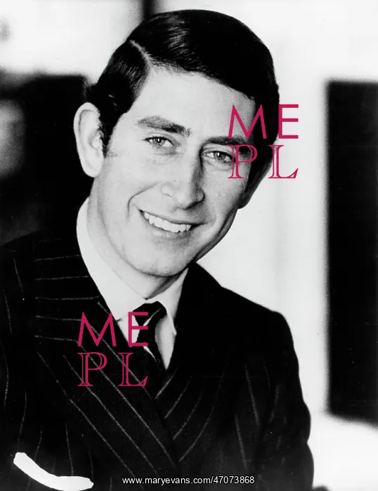 : Charles, Prince of Wales : Charles, Prince of Wales