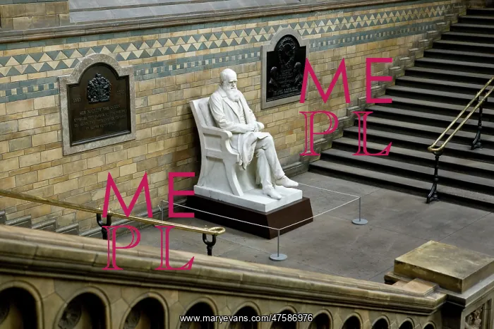 : Charles Robert Darwin (1809-1882) : Charles Robert Darwin (1809-1882)