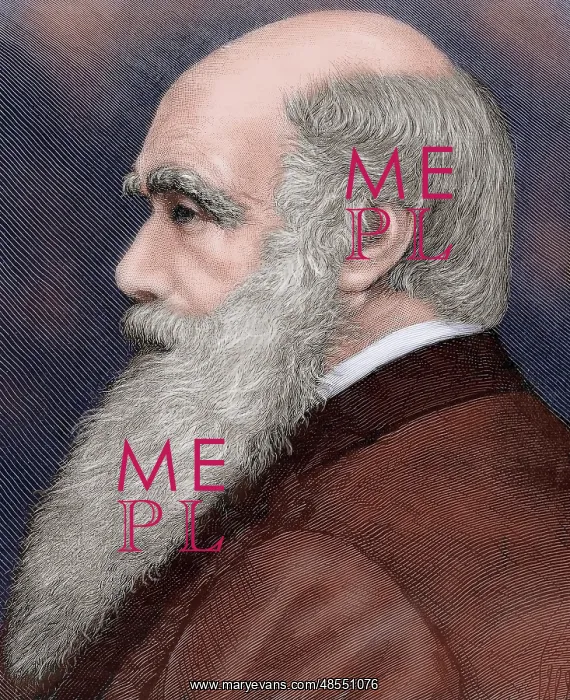 : Charles Robert Darwin (1809-1882) British naturalist. Colore : Charles Robert Darwin (1809-1882) British naturalist. Colore