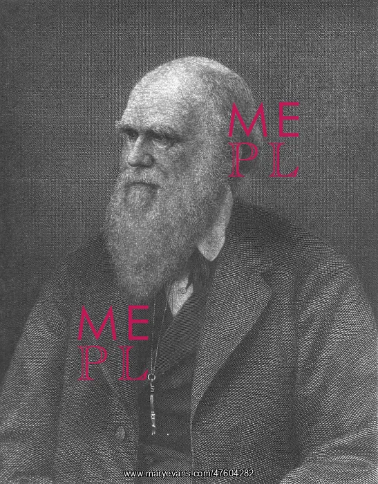 : Charles Robert Darwin, English Naturalist : Charles Robert Darwin, English Naturalist