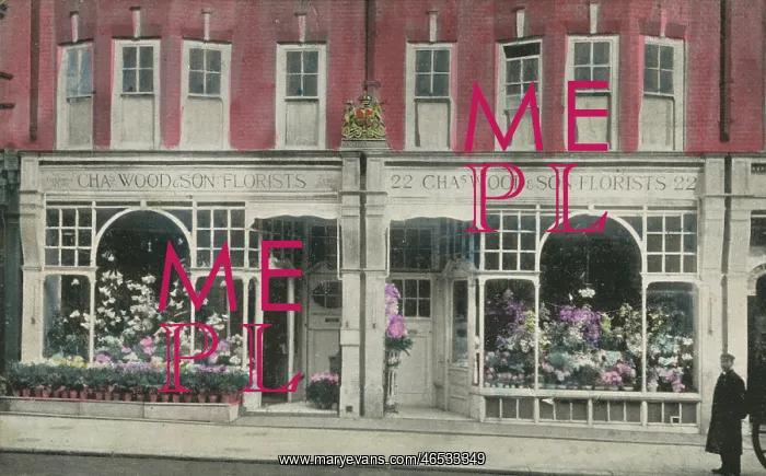 : Charles Wood and Son - Florists : Charles Wood and Son - Florists