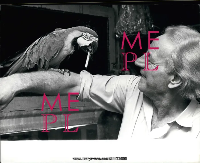 : Charlie the macaw with cigarette and owner Ray Mayer : Charlie the macaw with cigarette and owner Ray Mayer