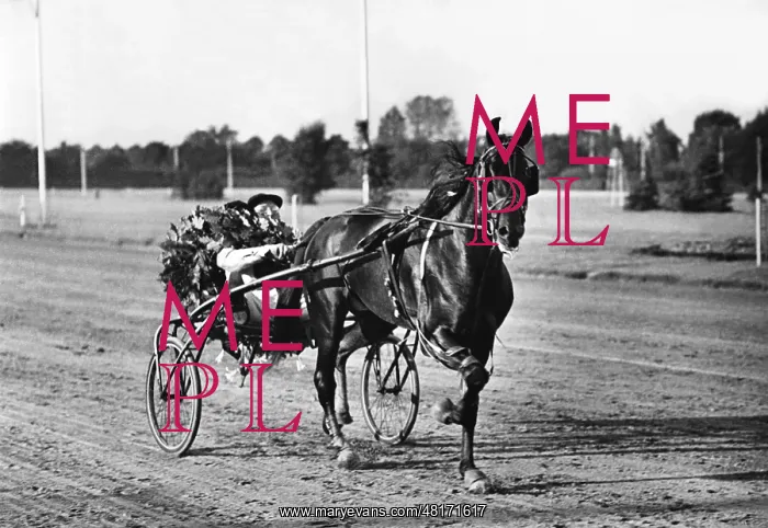 : Charly Mills : Charly Mills