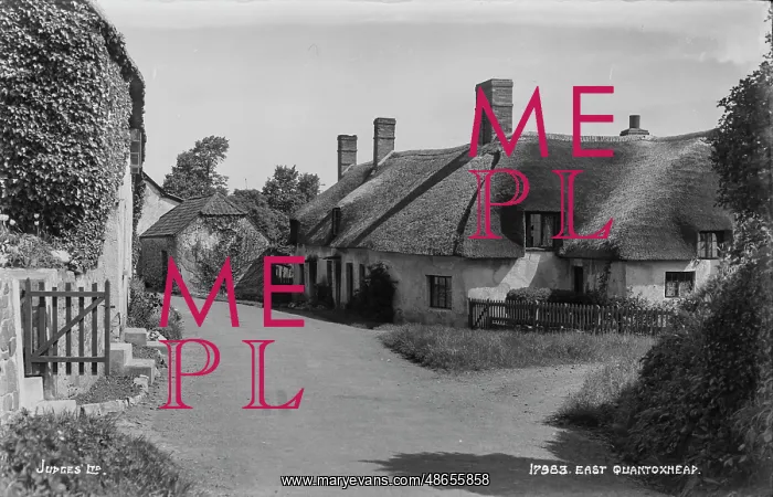 : Charming Thatched Cottages in East Quantoxheap : Charming Thatched Cottages in East Quantoxheap