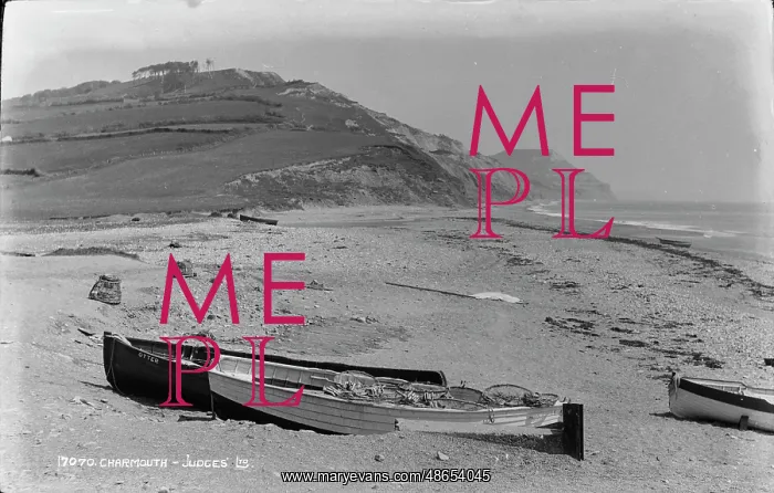 : Charmouth Beach : Charmouth Beach