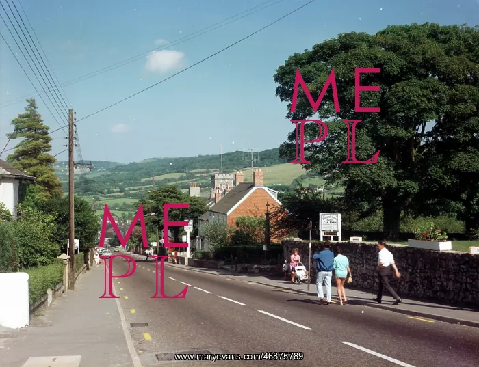: Charmouth Hill, Charmouth : Charmouth Hill, Charmouth