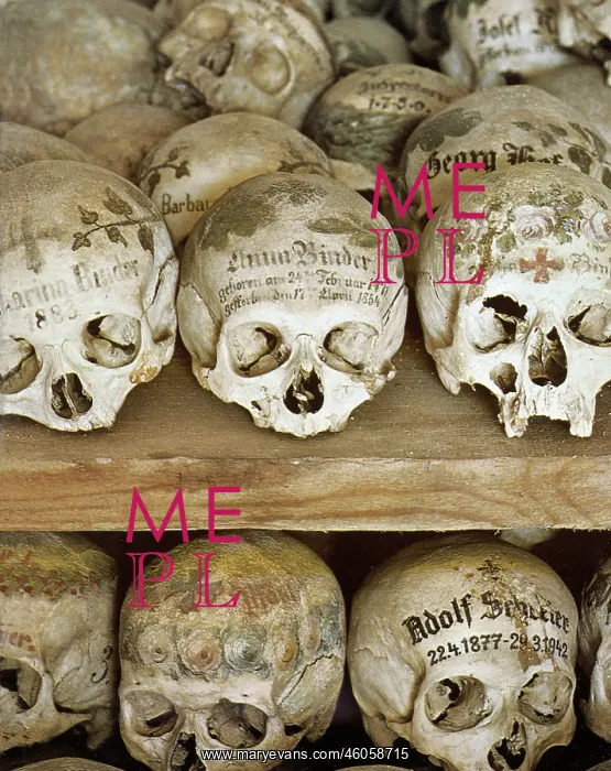 : The charnel house of Hallstatt : The charnel house of Hallstatt