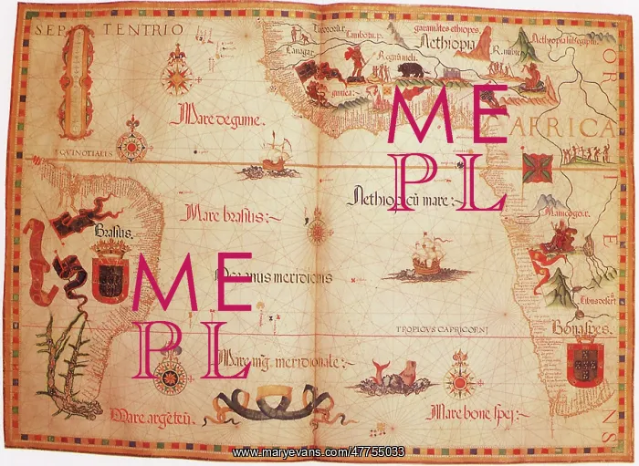  : Chart of the South Atlantic 1558