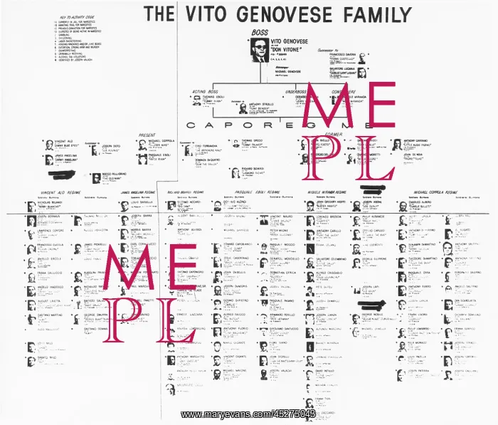 : Charts show the internal organization of the crime : Charts show the internal organization of the crime