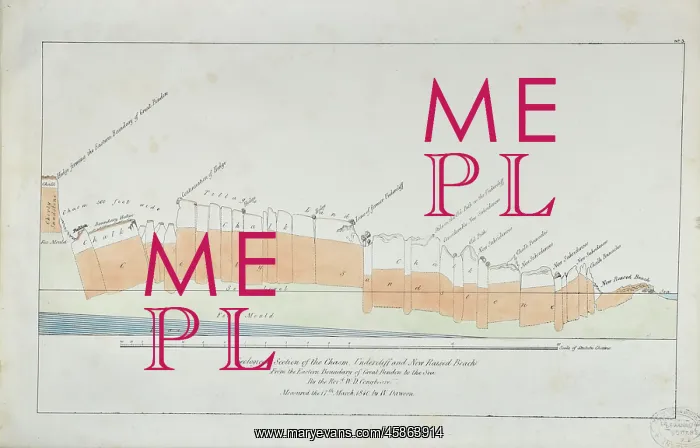 : Chasm, Undercliff and New Raised Beach - Great Bindon : Chasm, Undercliff and New Raised Beach - Great Bindon
