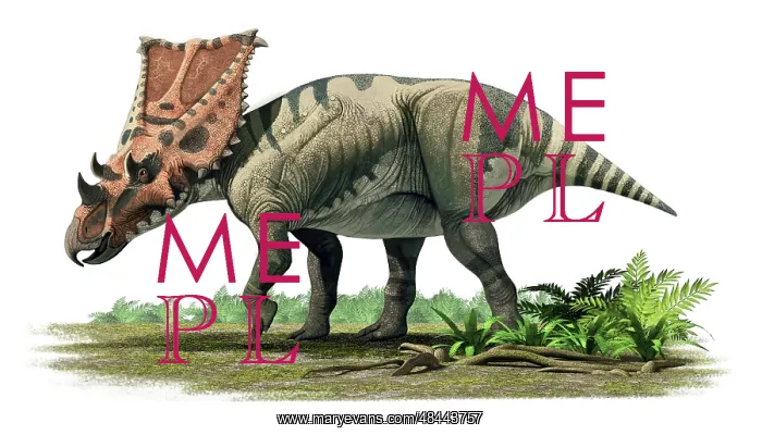 : Chasmosaurus belli, a ceratopsian of the Late Cretaceous ? : Chasmosaurus belli, a ceratopsian of the Late Cretaceous ?
