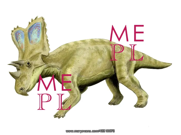 : Chasmosaurus dinosaur : Chasmosaurus dinosaur
