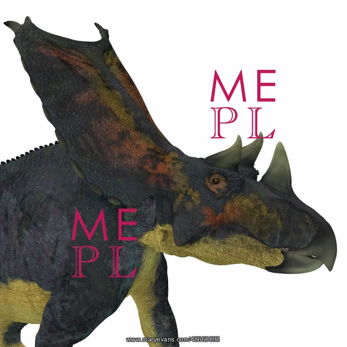 : Chasmosaurus dinosaur head : Chasmosaurus dinosaur head