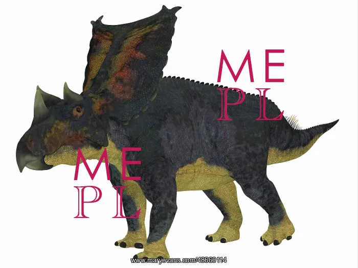: Chasmosaurus dinosaur, side profile : Chasmosaurus dinosaur, side profile