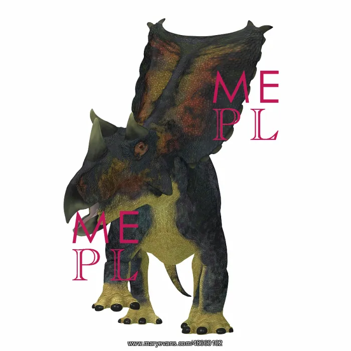 : Chasmosaurus dinosaur, front view : Chasmosaurus dinosaur, front view
