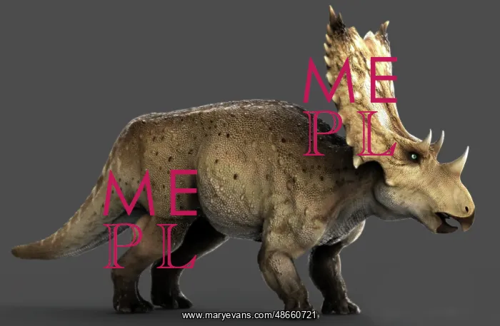 : Chasmosaurus dinosaur, side view on gray background : Chasmosaurus dinosaur, side view on gray background