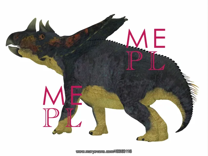 : Chasmosaurus dinosaur on white background : Chasmosaurus dinosaur on white background