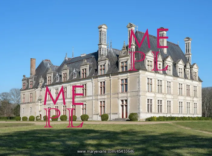 : Chateau de Beauregard, Cellettes, Loire Valley : Chateau de Beauregard, Cellettes, Loire Valley