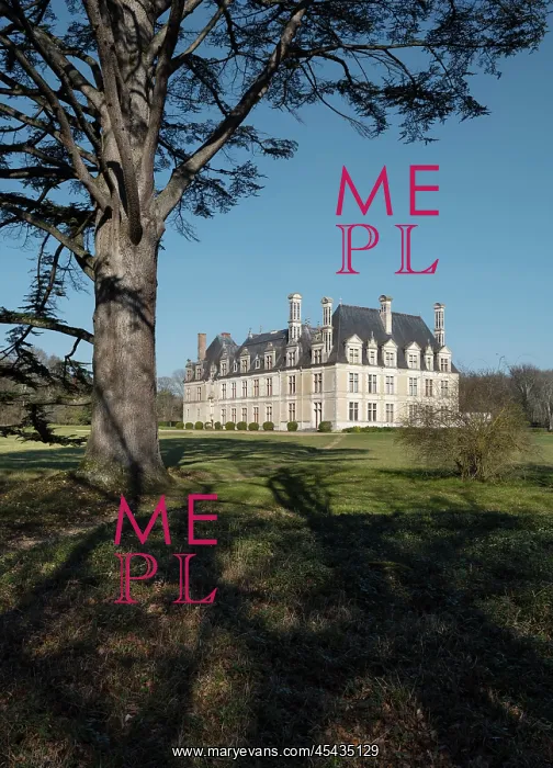 : Chateau de Beauregard, Cellettes, Loire Valley : Chateau de Beauregard, Cellettes, Loire Valley