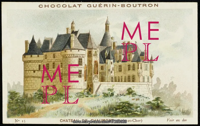  : CHATEAU DE CHAUMONT