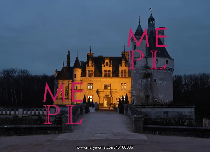 : Chateau de Chenonceau : Chateau de Chenonceau