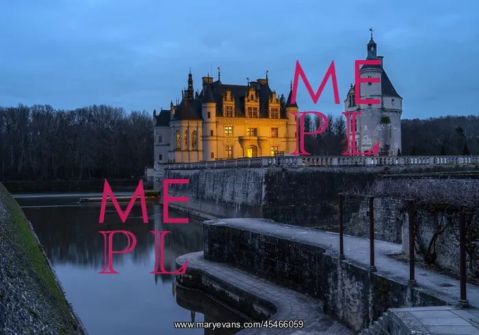 : Chateau de Chenonceau : Chateau de Chenonceau