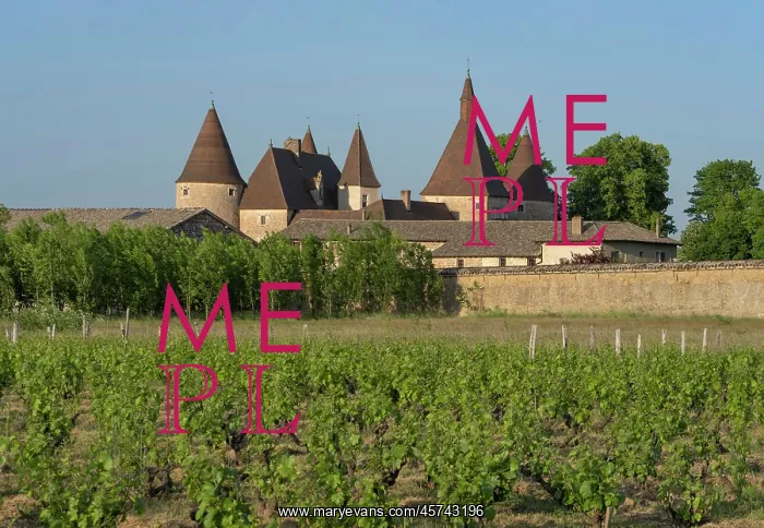 : Chateau de Corcelles-en-Beaujolais, Beaujolais, France : Chateau de Corcelles-en-Beaujolais, Beaujolais, France