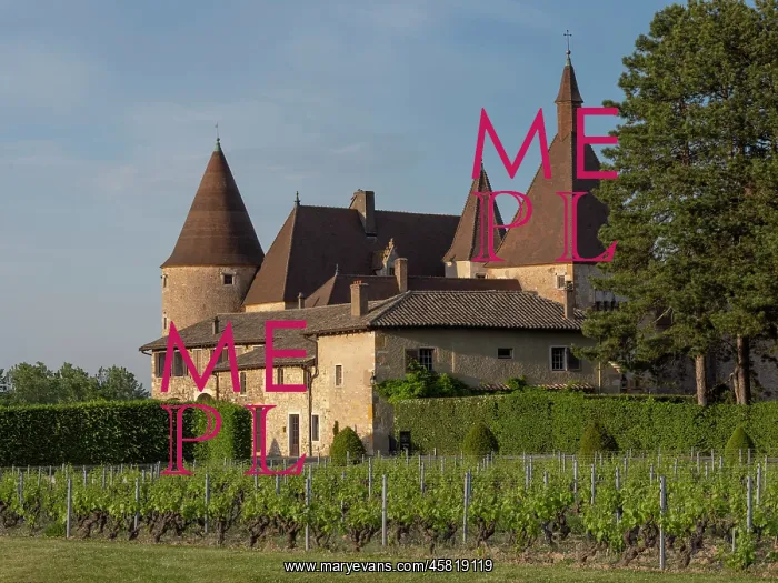 : Chateau de Corcelles-en-Beaujolais, Beaujolais, France : Chateau de Corcelles-en-Beaujolais, Beaujolais, France