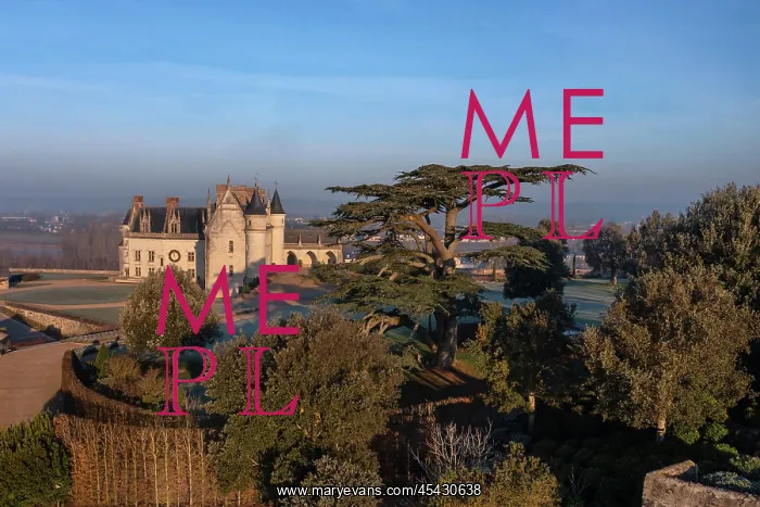 : Chateau d'Amboise : Chateau d'Amboise