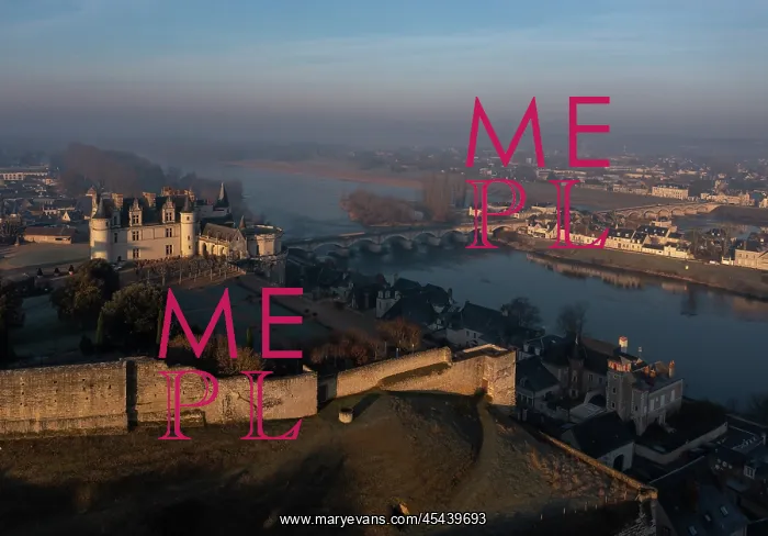: Chateau d'Amboise : Chateau d'Amboise