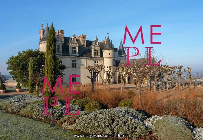 : Chateau d'Amboise : Chateau d'Amboise