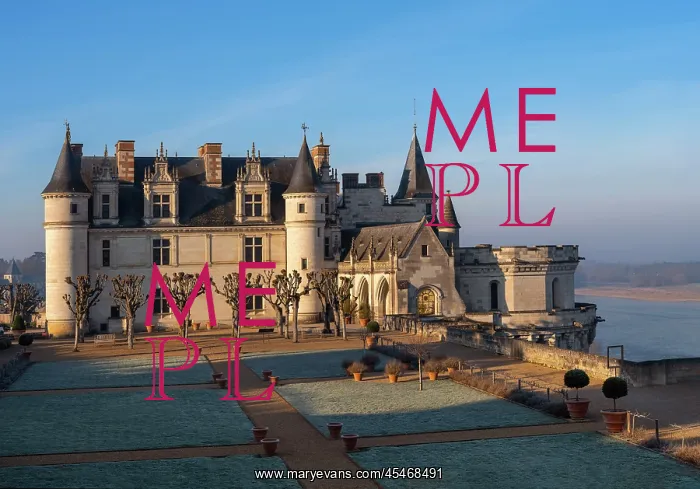 : Chateau d'Amboise : Chateau d'Amboise