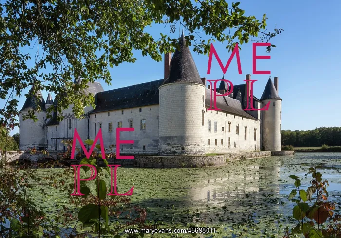 : Chateau du Plessis-Bourre, Ecuille, Loire Valley, France : Chateau du Plessis-Bourre, Ecuille, Loire Valley, France