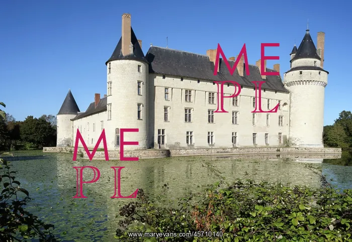: Chateau du Plessis-Bourre, Ecuille, Loire Valley, France : Chateau du Plessis-Bourre, Ecuille, Loire Valley, France