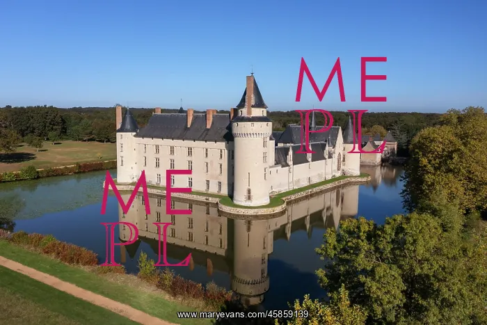 : Chateau du Plessis-Bourre, Ecuille, Loire Valley, France : Chateau du Plessis-Bourre, Ecuille, Loire Valley, France