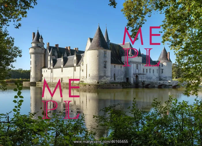 : Chateau du Plessis-Bourre, Ecuille, Loire Valley, France : Chateau du Plessis-Bourre, Ecuille, Loire Valley, France