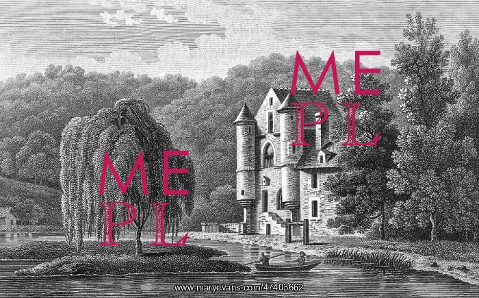 : CHATEAU DE LOGES : CHATEAU DE LOGES