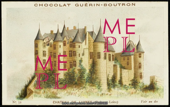  : CHATEAU DE LUYNES