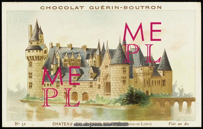 : CHATEAU / PLESSIS-BOURRE : CHATEAU / PLESSIS-BOURRE