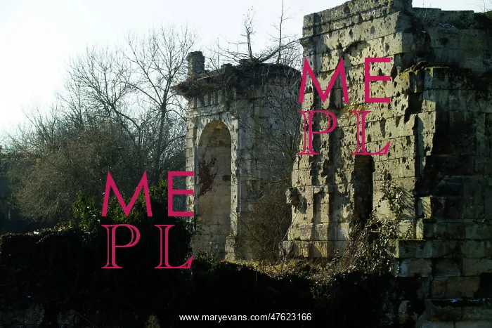: Chateau of Plessis de Roye : Chateau of Plessis de Roye