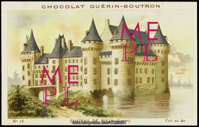  : CHATEAU DE SULLY