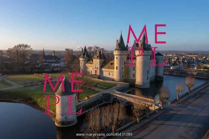 : Chateau de Sully-sur-Loire : Chateau de Sully-sur-Loire
