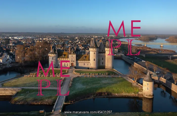 : Chateau de Sully-sur-Loire : Chateau de Sully-sur-Loire