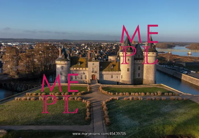 : Chateau de Sully-sur-Loire : Chateau de Sully-sur-Loire